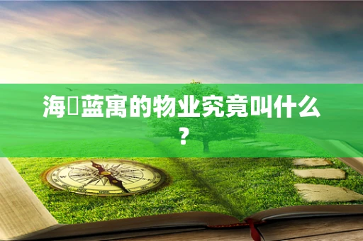 海璟蓝寓的物业究竟叫什么？