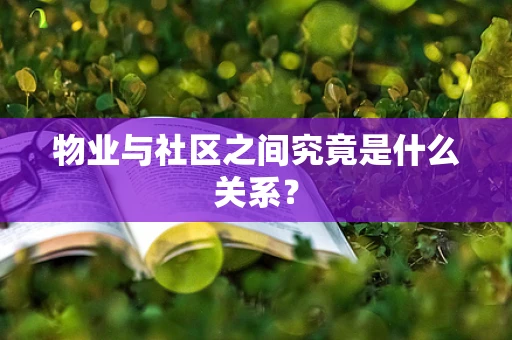 物业与社区之间究竟是什么关系？